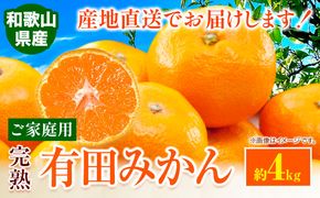 みかん ご 家庭用 完熟 有田みかん 約 4kg 有田マルシェ《11月上旬-1月中旬頃出荷予定》 和歌山県 日高町 みかん 有田みかん 柑橘 フルーツ 完熟 送料無料 訳あり みかん 蜜柑 ミカン 柑橘---wsh_arm11_a111_23_7000_4kg---