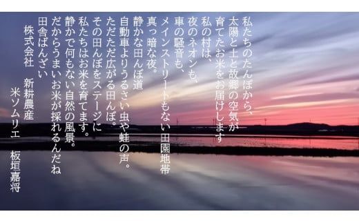 【令和7年産米】米の名産地 新潟県岩船産 特別栽培米 新之助 4kg（2kg×2袋） 1039014｜白米 食味鑑定士謹製 一等米 プレミアム米 新耕農産 ツヤツヤ 農家直送 低温倉庫保管 安心 安全 小分けサイズ こだわり