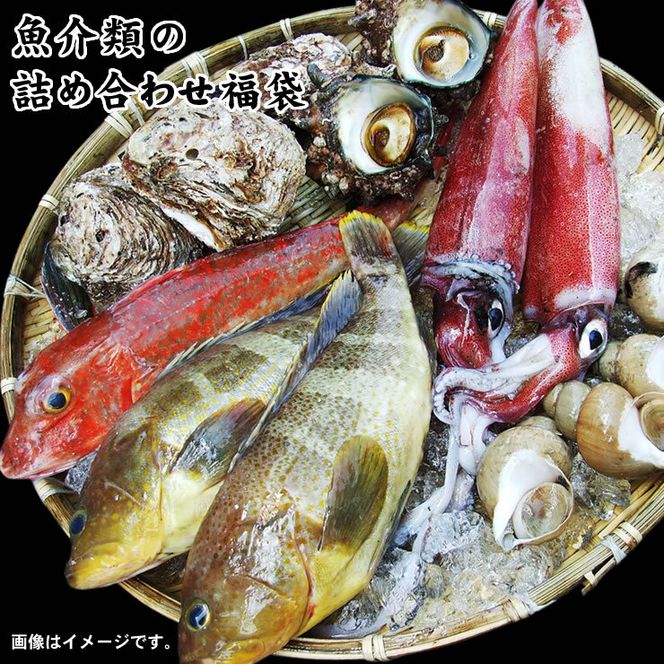 1633 魚介類の詰め合わせ福袋 (魚介類2〜4品程度入)