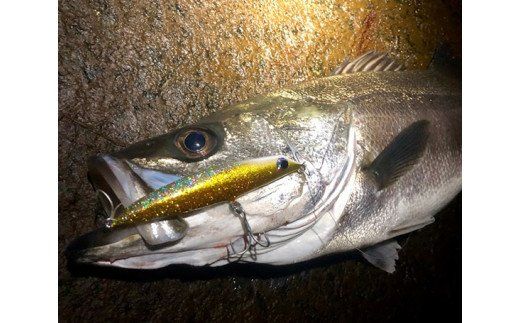 HUNT88　（シーバス専用ルアー） [ハッサク工房 石川県 宝達志水町 38600509]