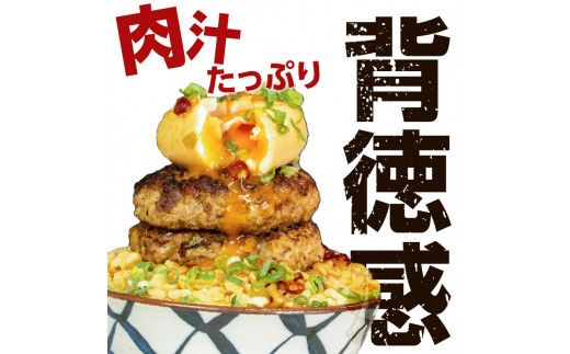 鹿児島肉祭りハンバーグセット　K008-003