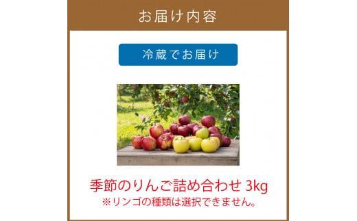 【予約：2026年10月から順次発送】季節のりんご詰め合わせ 3kg ( りんご リンゴ 林檎 詰合せ 3kg 旭 つがる 黄王 レッドゴールド ジョナゴールド 昴林 森の輝き 王林 ふじ )【044-0002-2026】