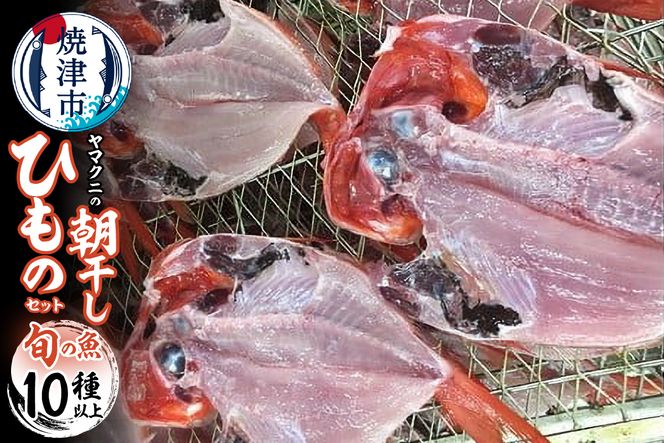 yÉĒÎsza30-176@y`hł͂zЂ̃Zbg10ȏI