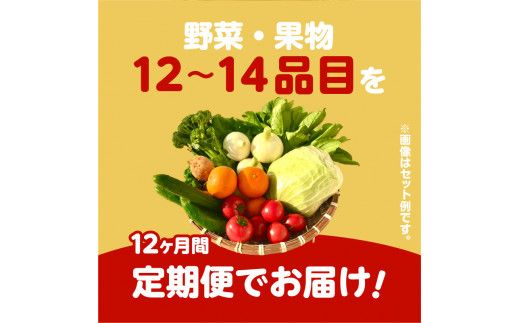 【JA直売所セレクト】12ヵ月定期便！旬鮮野菜・果物セット（12～14品目）　K072-T02