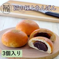 匠の極上あんぱん(3個入り)《 あんパン パン 粒あん 冷凍 個包装 小分け 》【2400I05944】