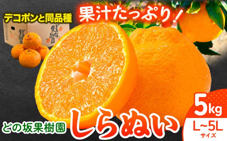 不知火 ( デコポンと同品種 ) しらぬい 約5kg (L〜5Lサイズ) どの坂果樹園[2025年2月中旬-4月上旬頃出荷] 和歌山県 日高町 しらぬい 不知火 デコポン でこぽん 旬 果物 フルーツ 柑橘 産地直送 送料無料---wsh_dsk1_g24_24_11000_5kg---