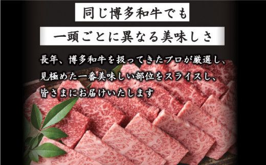【全12回定期便】【和牛の旨味を堪能！】博多和牛焼肉用 500g《築上町》【株式会社MEAT PLUS】[ABBP035]