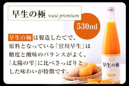 『菅本果実園』こだわりの手搾りみかんジュースセット 太陽の雫530ml×1本 早生の極み530ml×1本《11月下旬‐4月末頃出荷》  熊本県玉名郡玉東町---sg_mikanju_cf114_24_18500_2i---