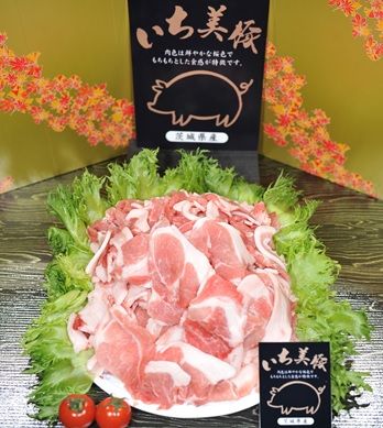S164【小分け】いち美豚　豚小間切れ肉3kg（500g×6パック）