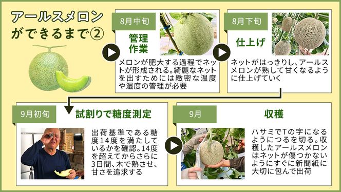 完熟 アールスメロン 3玉 2026年産 先行予約 メロン マスクメロン 青肉 果物 フルーツ 茨城県産 期間限定 数量限定 [AF004ci]