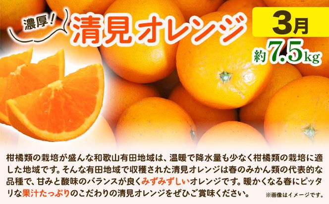 【発送月固定定期便】紀州 和歌山産 旬の ご家庭用 柑橘 セット (みかん 不知火 清見)【全３回】 魚鶴商店《1月上旬-3月末頃出荷予定(土日祝除く)》 和歌山県 日高町 みかん 不知火 清見 オレンジ 柑橘 蜜柑 果物 フルーツ 訳あり ギフト 送料無料 定期便---wsh_uot123tei_23_47000_mo3num1---