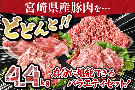 ＜宮崎県産豚肉 バラエティーセット4.4kg＞翌月末迄に順次出荷【b0629_ty】