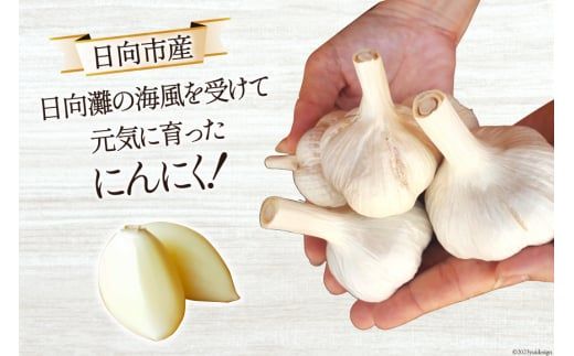 【期間限定発送】 にんにく 国産 1kg [甲斐自然派農園 宮崎県 日向市 452060131] ふるさと納税 ニンニク 1キロ 栽培期間中 無農薬 農薬不使用 化学肥料不使用 日向市産