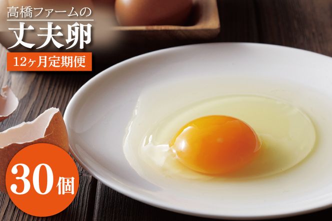 yȖ،vqzAQ013@y12ցzt@[̏v30