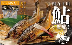 R5-838．炭火でじっくり焼いた四万十川天然鮎の塩焼き(3～4匹)