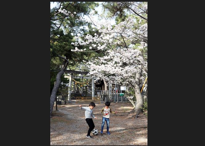 二科展写真作家が撮影！碧南市内での記念撮影 データ納品　H159-007