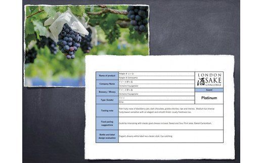 10-7.「アダージョ上ノ山」赤ワイン1本 [ドメーヌ茅ヶ岳 山梨県 韮崎市 20743376] 