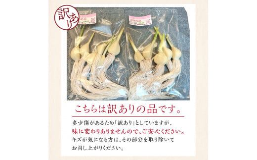 【予約：2025年1月上旬から順次発送】【訳あり】あしながにんにく 60g×2袋 ( あしながにんにく にんにく ガーリック 訳あり 訳アリ 北海道 )【143-0003-2025】