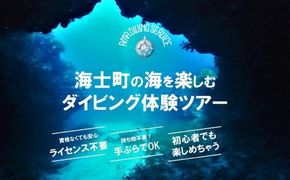 【離島で潜ろう！】海士町ダイビング体験（ボートダイビング）