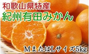 [秀品]和歌山有田みかん約5kg(MまたはLサイズ) ★2025年11月中旬頃より順次発送［TM98w］BZ056