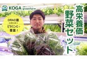 高栄養価野菜セット　N056-YZA506