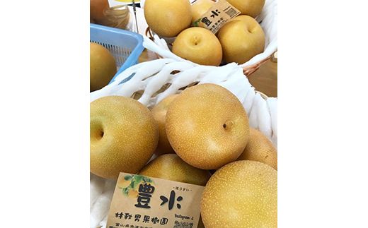 【早期予約】魚津：林秋男果樹園の完熟梨「豊水」5のkg｜フルーツ なし 富山県魚津市　※2026年9月～発送