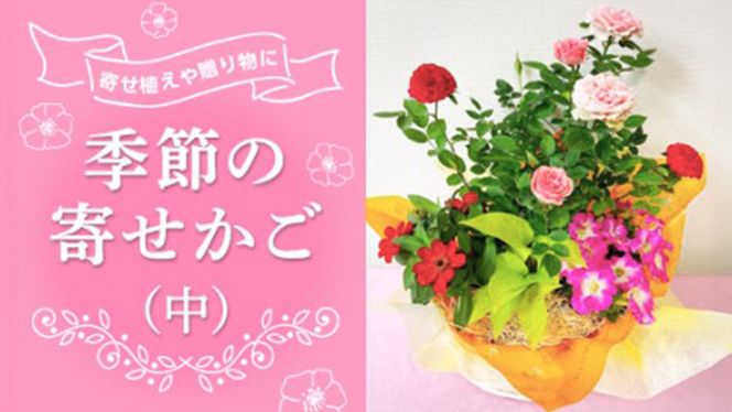 季節の寄せかご（中） 花 お花 フラワー 誕生日 プレゼント ギフト 贈り物 父の日 母の日 [AS01-NT]