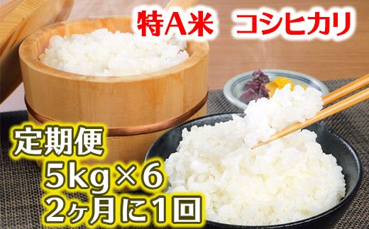 「コシヒカリ」　白米定期便　１２か月で５kgを６回お届け（２か月に1回）【C040U】