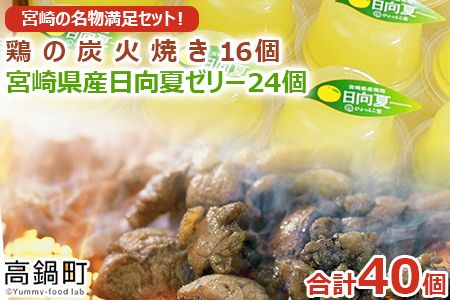 ＜宮崎の名物満足セット！宮崎県産日向夏ゼリー24個、鶏の炭火焼16個セット＞翌月末迄に順次出荷【c723_ht_x1】