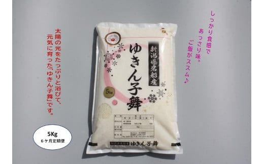 【令和6年産米】【6ヶ月定期便】ゆきん子舞 白米 5kg×6ヶ月 1039022 お米 米 精米 ご飯 ごはん