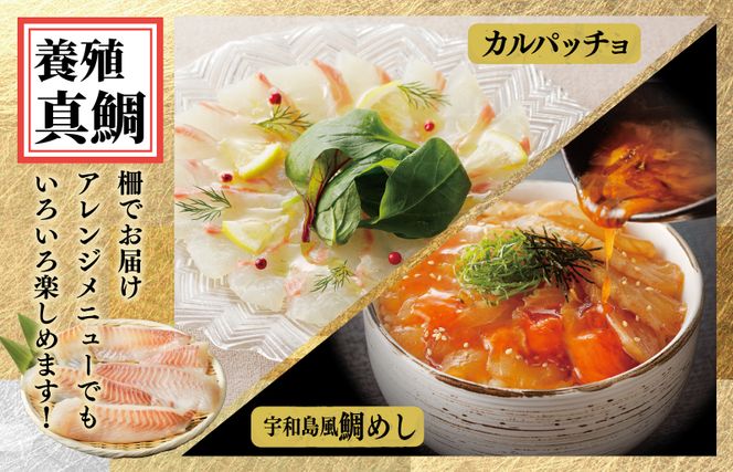 nbj0004 【南予ビージョイ】サーモン＆国産活〆 真鯛  お刺身セット【小分け 訳あり サイズ不揃い 刺身 海鮮丼 人気 オススメ 冷凍】