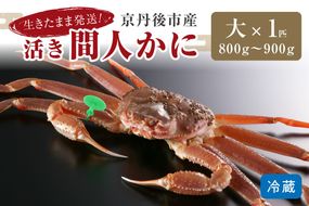 かに卸し問屋がお届け・浜競り厳選！幻の活間人ガニ 800ｇ～900ｇ 大サイズ（11月発送）／北畿水産　HK00300