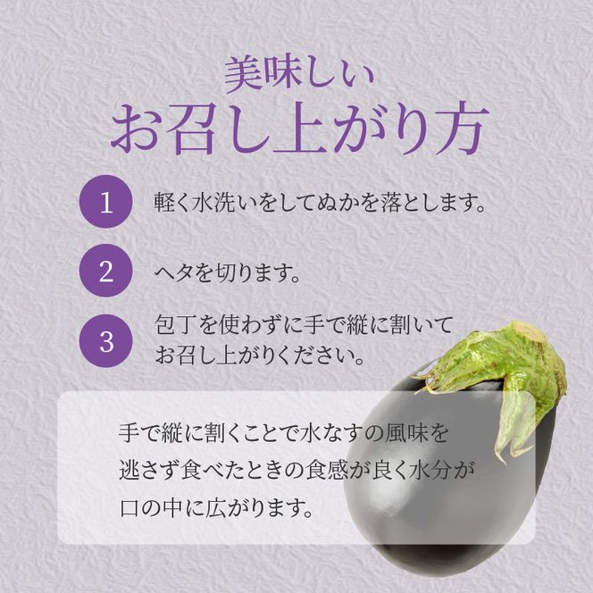 010B1649 【先行予約】特選水なす浅漬け＆生なす 5個入り【食べ比べ 新鮮 野菜 泉佐野産 茄子 やさい 高評価 数量限定】