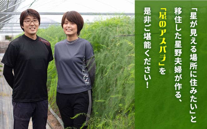 【3回定期便】【星のアスパラ】春・夏・秋 の グリーン アスパラガス 約1kg / アスパラ 野菜 / 南島原市 / ほしのYA[SEY013]