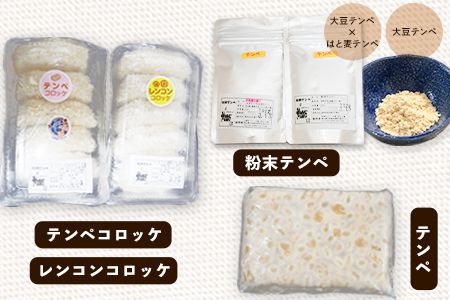 テンペ健康セットA 5種セット 矢掛テンペ 《30日以内に出荷予定(土日祝除く)》 粉末テンペ コロッケ 大豆 発酵食品 スーパーフード 岡山県矢掛町産 発酵亭---osy_fytkenaset_30d_22_20000_5p---