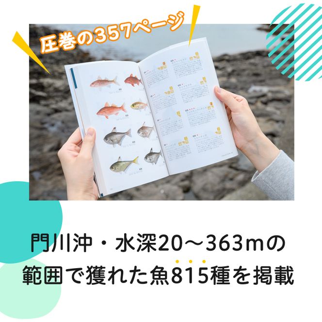 新・門川の魚図鑑(1冊)お魚 知育 学習 本 書籍【AI-3】【門川町地域振興課】