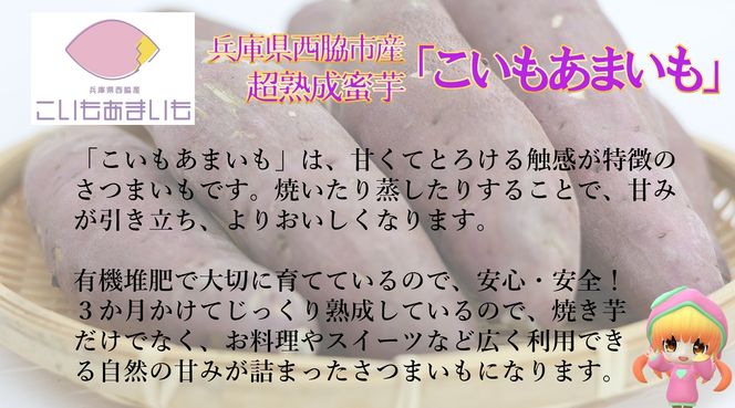 超熟成蜜芋「こいもあまいも」紅はるか Sサイズ 合計5㎏（10-81