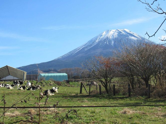 【定期便】富士山プレミアム牛乳1リットルパック（4本セット×4回） FAT007