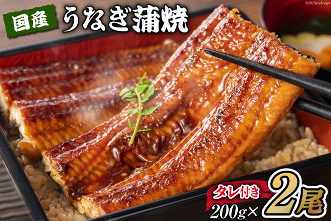 yÉgczYȂ  2 Zbg 200g×2 ^t [ނ炽 É gc 22424002] Ȃ V EiM Ă Ⓚ