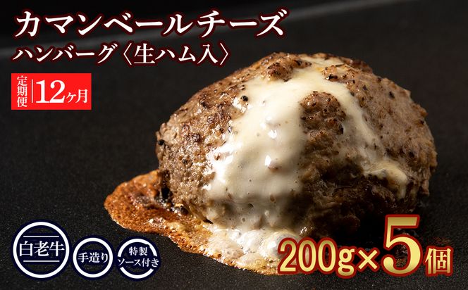 定期便12ヵ月 お楽しみ 北海道産 白老牛 カマンベールチーズハンバーグ 5個セット 冷凍 チーズ イン ハンバーグ BY114