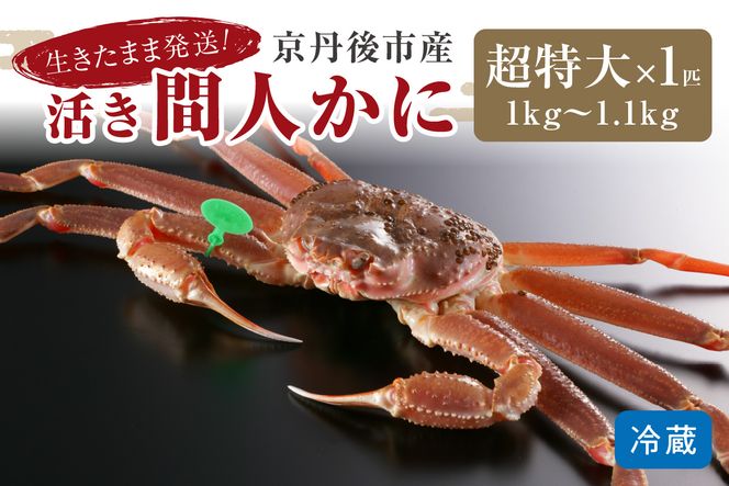 【12月発送】最高鮮度の生きたまま発送！京丹後市産活間人かに　1kg～1.1kg超特大サイズ/北畿水産　HK00180