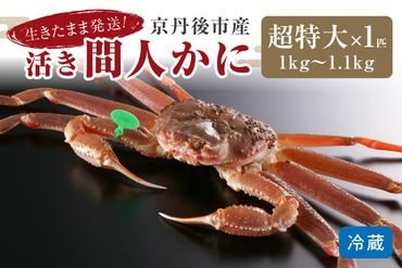 【1～3月発送】最高鮮度の生きたまま発送！京丹後市産活間人かに　1kg～1.1kg超特大サイズ/北畿水産　HK00184