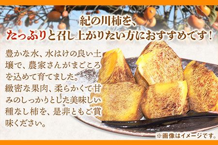 希少 紀の川柿 約3.5kg（種無し）【2026年先行予約】 秀選品  厳選館 《11月上旬-11月中旬出荷》 和歌山県 日高川町 柿 カキ かき ジューシー フルーツ---wshg_tmt251_11j11c_25_18000_4kg---
