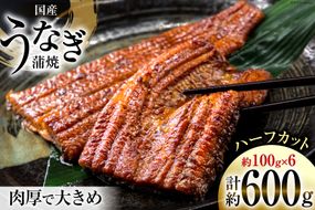 うなぎ 国産 静岡 うなぎ蒲焼 ハーフカット 100g ×6 計600g [静岡鰻販売 静岡県 吉田町 22424172] 鰻 ウナギ うなぎ蒲焼き うなぎ蒲焼 真空パック 冷凍 蒲焼 肉厚 ふっくら 静岡県産