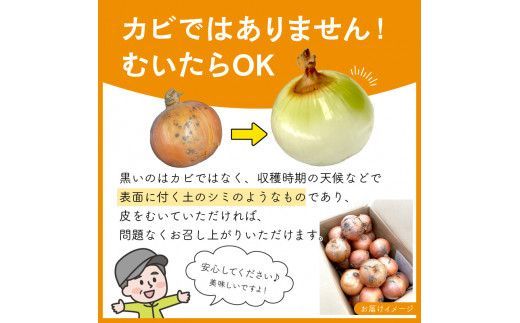 【予約：2026年10月中旬から順次発送】日本一の玉ねぎ生産地！信田農園の玉ねぎ 10kg Lサイズ ( 信田農園 野菜 玉ねぎ 玉葱 たまねぎ タマネギ 10キロ 北見のたまねぎ オニオン 野菜 甘い ふるさと納税 )【124-0006-2026】