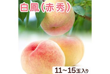 和歌山県紀の川市産 白鳳(赤秀) 11-15玉入り 桃 モモ もも 株式会社松源[2024年6月下旬-7月中頃出荷]和歌山県 紀の川市---wsk_cmtg17_h6_23_23000_15t---