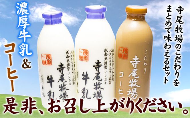 寺尾牧場のこだわり濃厚牛乳（ノンホモ牛乳）とコーヒーセット 3本セット 厳選館《90日以内に出荷予定(土日祝除く)》 和歌山県 日高町 濃厚牛乳 牛乳 ノンホモ牛乳 成分無調整 コーヒー コーヒー牛乳 セット---wsh_cgsk99_90d_25_16000_3p---