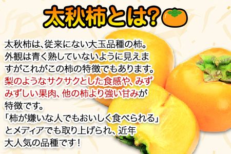 50年以上の歴史を持つ『ハヤトファーム』の太秋柿! 《10月上旬-10月末頃出荷》シャキシャキ食感とすっきり後味 約2.5kg～3kg 5-8玉前後 予約受付中 フルーツ 秋 旬 柿 ---gkt_hyt_2_2500g---