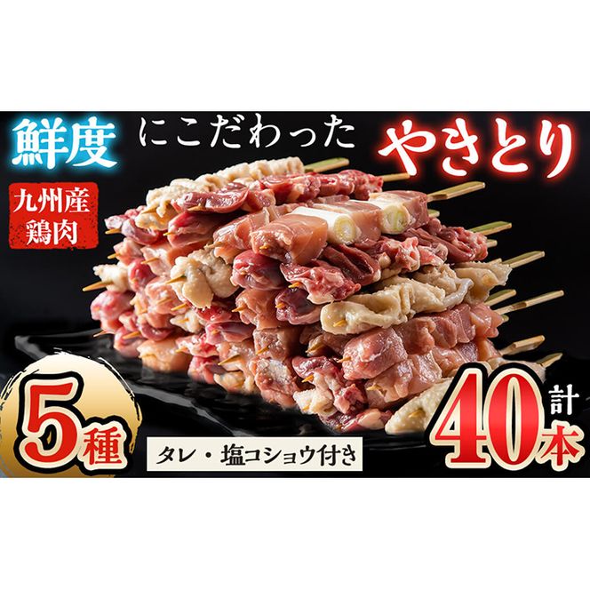 yuzuszNxɂY₫ƂoGeBZbgXyVv40{(5×e8{) a3-196