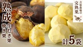 【 吉原農場 の 完熟栗 】 熟成 生むき栗 3袋（1袋あたり120g） ・ 焼き栗 2袋（1袋あたり200g） セット 令和7年産 完熟 栗 くり クリ 栗ごはん 贈答 ギフト 果物 フルーツ 数量限定 旬 秋 冬 正月 おせち [CX009ci]